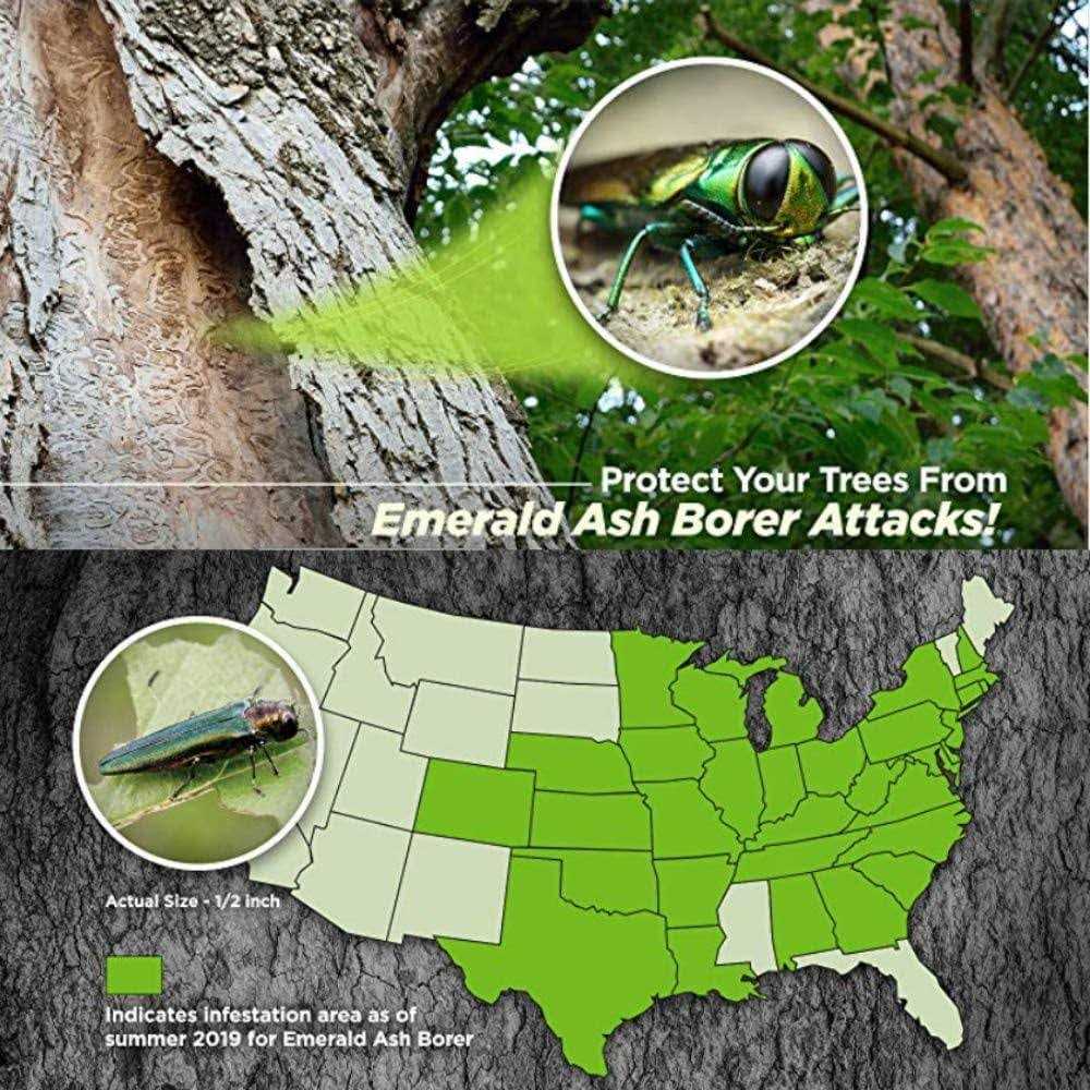 BioAdvanced Concentrate Tree & Shrub Protect & Feed