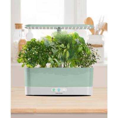 AeroGarden Harvest Slim Seed Starting System Bundle